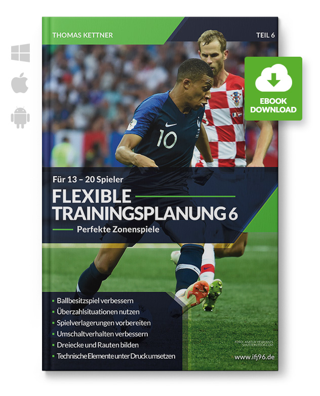 Flexible Trainingsplanung 6 - Zonenspiele für 13 bis 20 Spieler (eBook)
