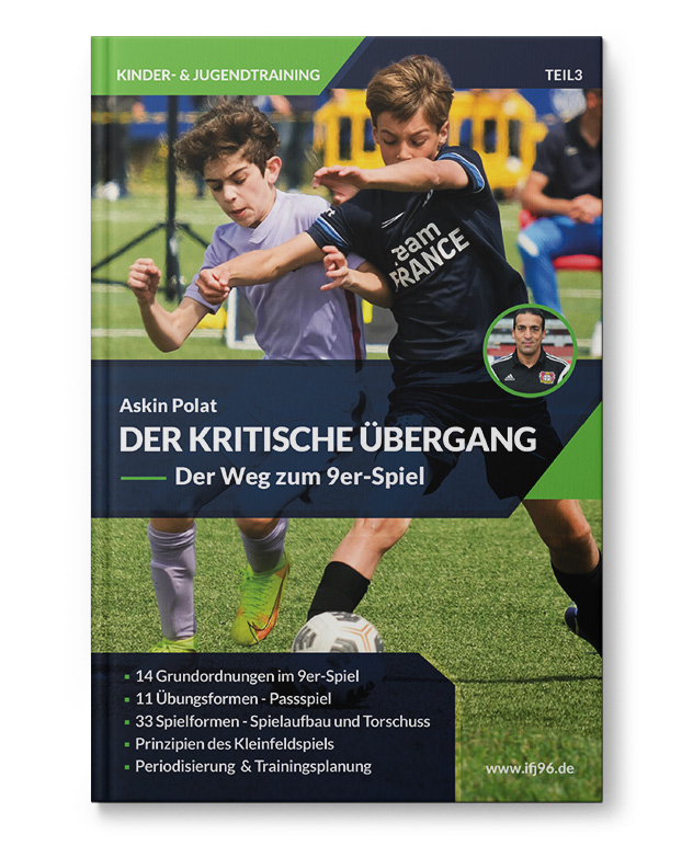 Der Kritische Übergang (Buch)