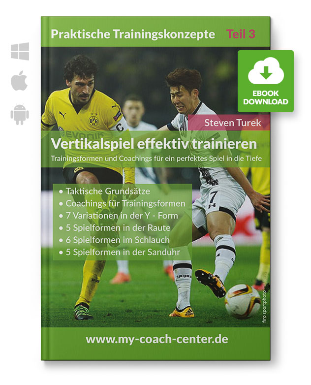 Vertikalspiel effektiv trainieren (eBook)