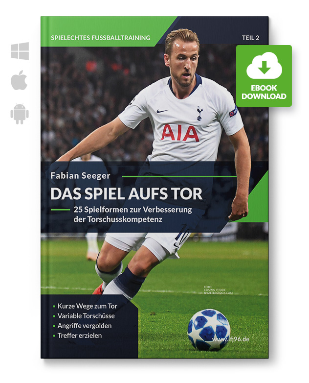 Das Spiel aufs Tor (eBook)